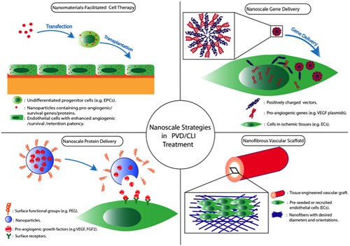 American Chemcial Society Nano