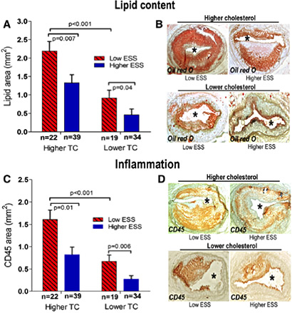 International Journal of Cardiology
