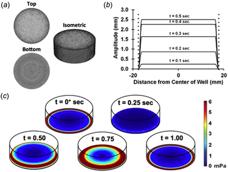 Journal of Biomechanical Engineering