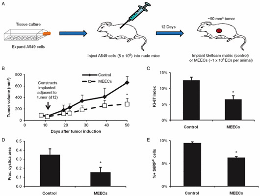Science: Translational Medicine 2011